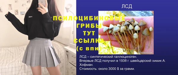 спиды Коряжма