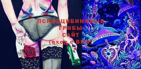 a pvp Костерёво
