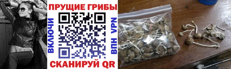 Купить  Байкальск  Псилоцибиновые грибы прущие грибы 